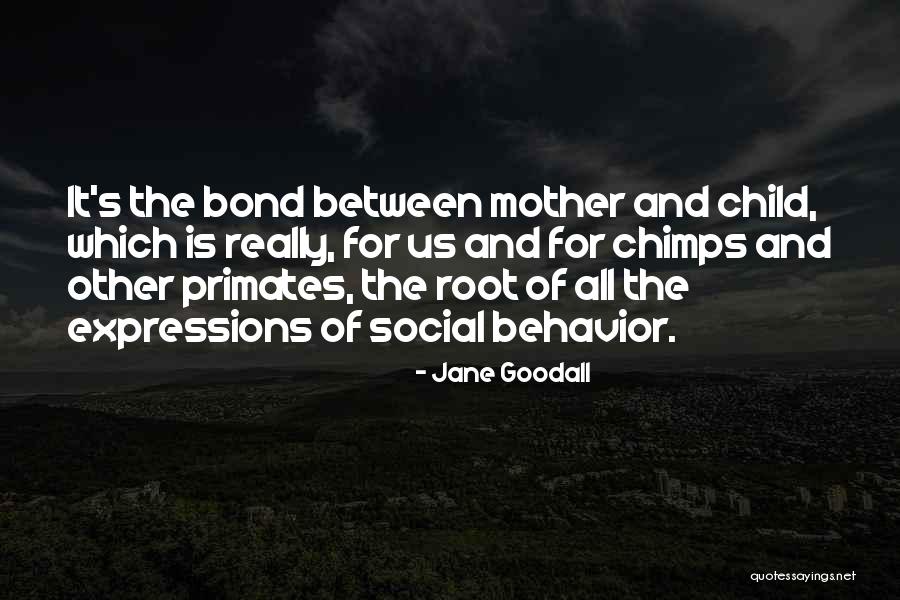 Us Bond Quotes By Jane Goodall