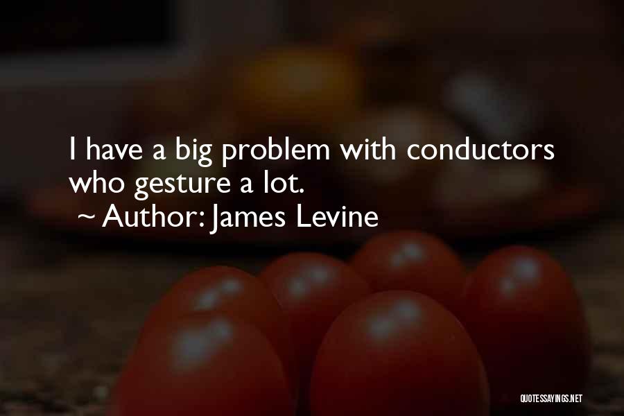 Us Conductors Quotes By James Levine