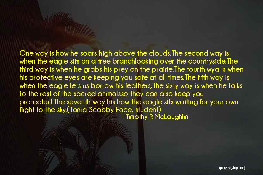 Us Eagle Quotes By Timothy P. McLaughlin Us Eagle Quotes By Timothy P. McLaughlin