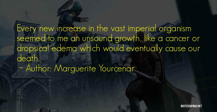 Us Expansionism Quotes By Marguerite Yourcenar