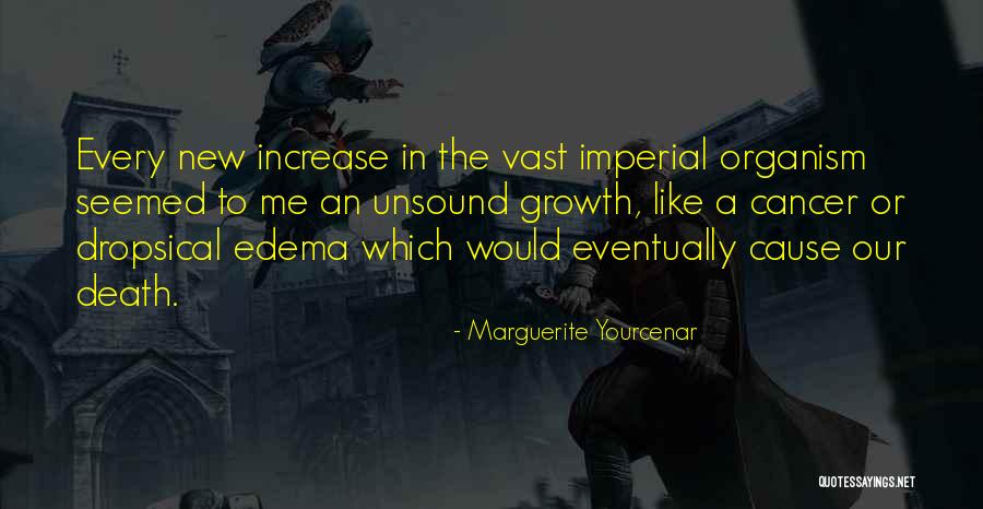 Us Expansionism Quotes By Marguerite Yourcenar