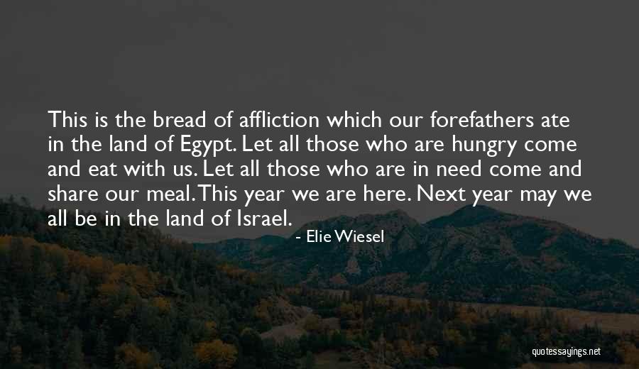 Us Forefathers Quotes By Elie Wiesel