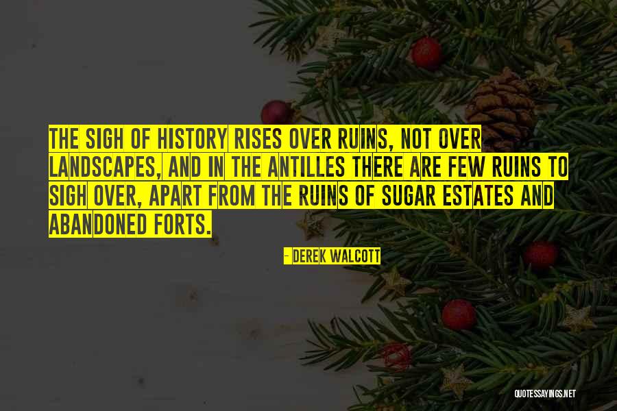 Us Forts Quotes By Derek Walcott Us Forts Quotes By Derek Walcott