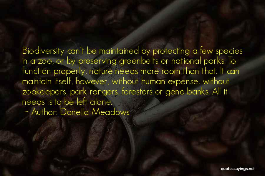 Us National Parks Quotes By Donella Meadows