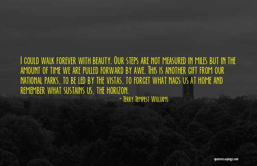 Us National Parks Quotes By Terry Tempest Williams