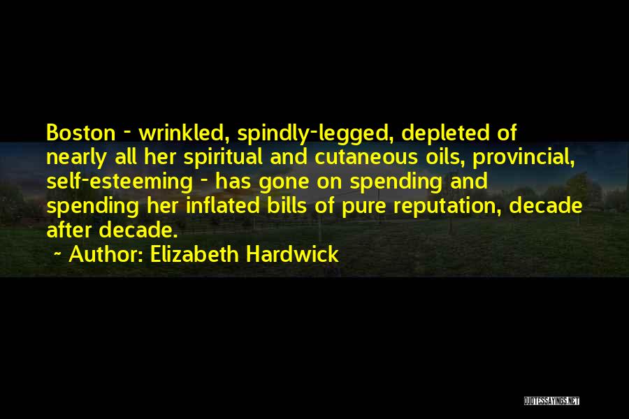 Us T Bills Quotes By Elizabeth Hardwick