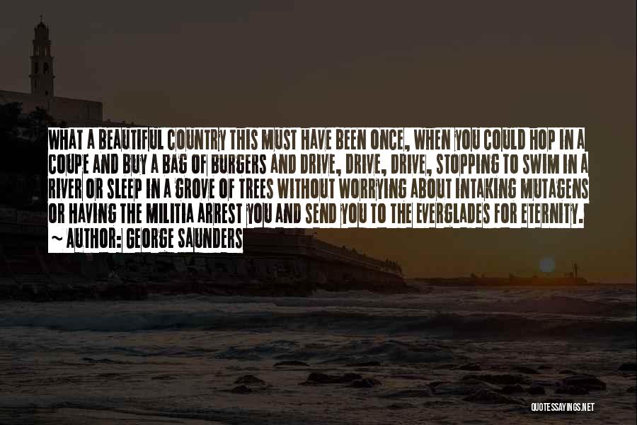 Usa Freedom Quotes By George Saunders