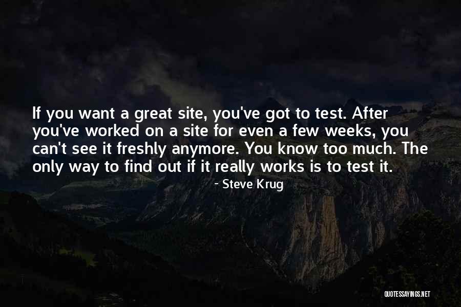 Usability Quotes By Steve Krug