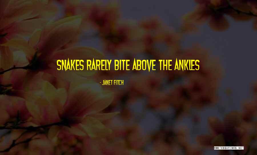 Usados Santogal Quotes By Janet Fitch Usados Santogal Quotes By Janet Fitch