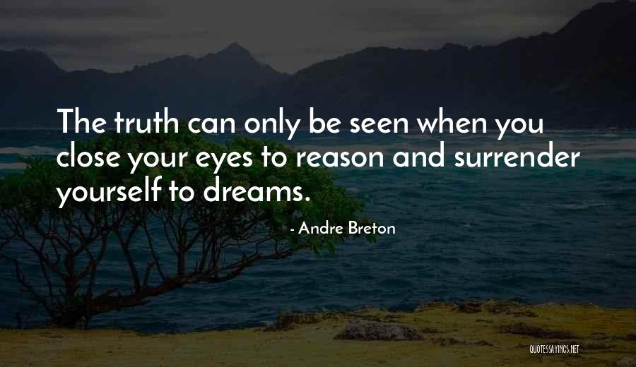 Usaf Security Forces Quotes By Andre Breton Usaf Security Forces Quotes By Andre Breton