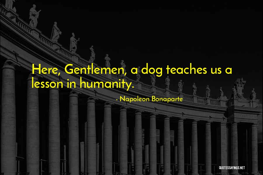 Usagain Llc Quotes By Napoleon Bonaparte Usagain Llc Quotes By Napoleon Bonaparte