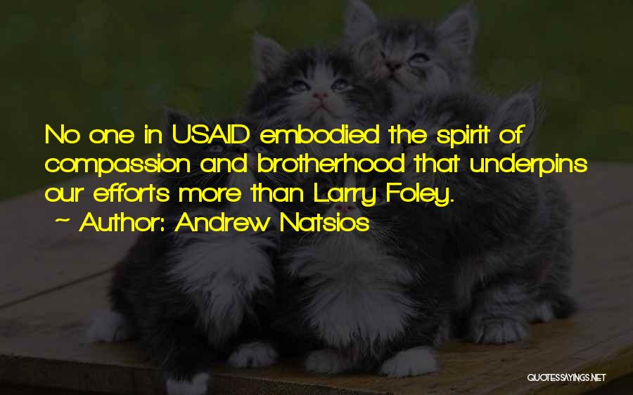 Usaid Quotes By Andrew Natsios