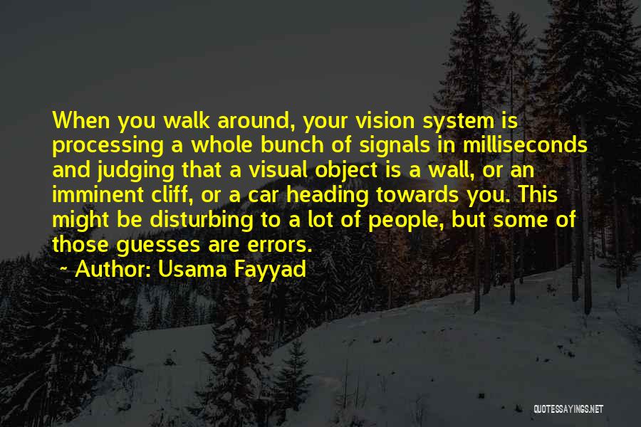Usama Fayyad Quotes 1096215