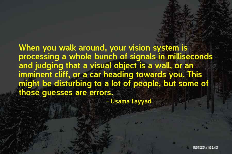 Usama Fayyad Quotes 1096215