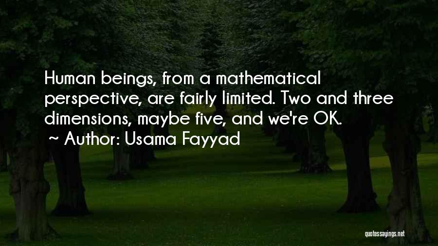 Usama Fayyad Quotes 1801998