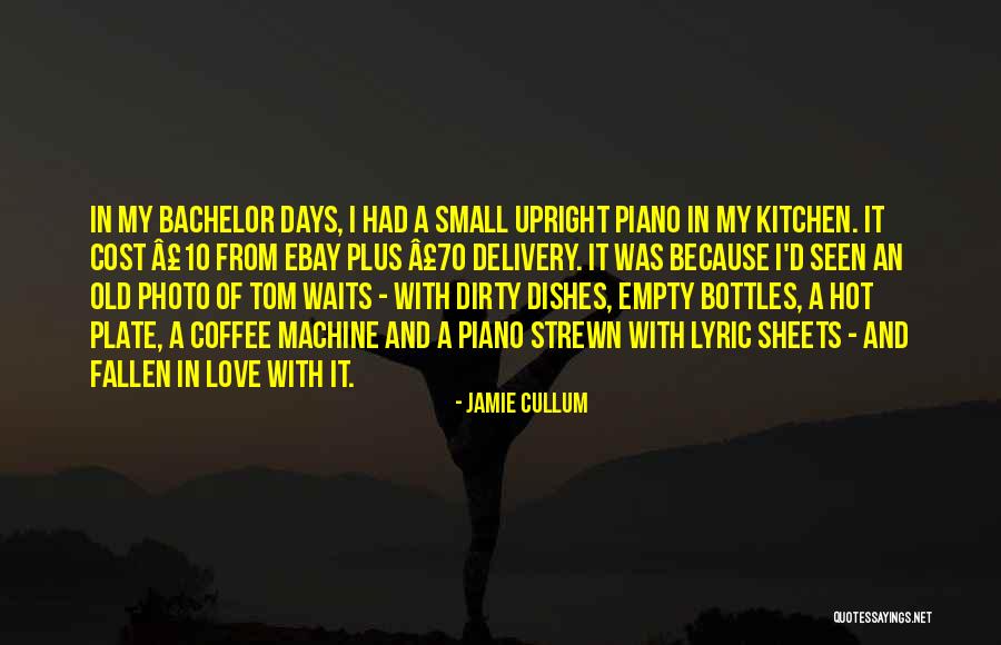 Usami Mizuki Quotes By Jamie Cullum Usami Mizuki Quotes By Jamie Cullum