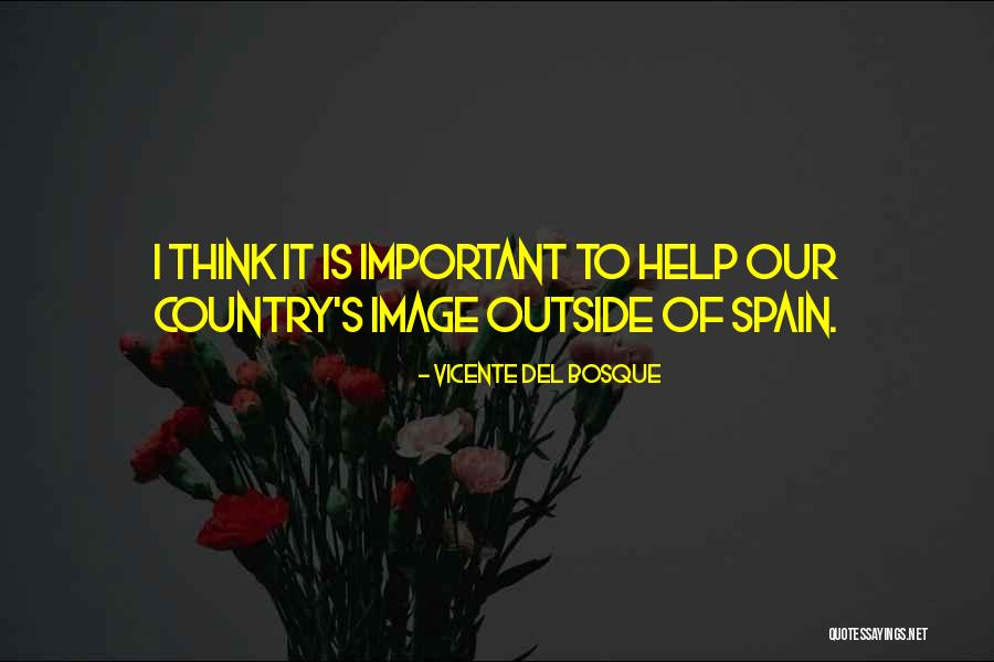 Usami Mizuki Quotes By Vicente Del Bosque Usami Mizuki Quotes By Vicente Del Bosque