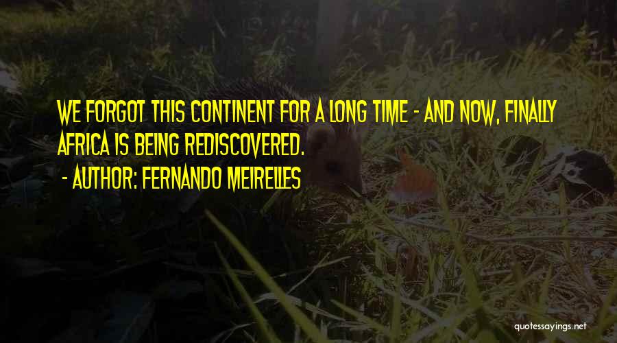 Usamimi Quotes By Fernando Meirelles