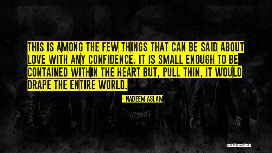 Usangel Quotes By Nadeem Aslam Usangel Quotes By Nadeem Aslam