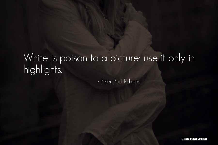 Use Me Picture Quotes By Peter Paul Rubens