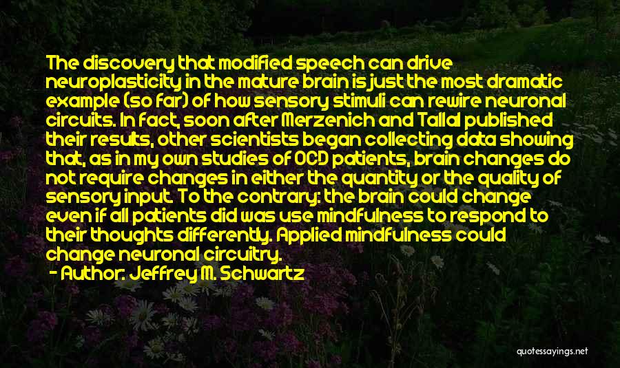 Use Of Data Quotes By Jeffrey M. Schwartz