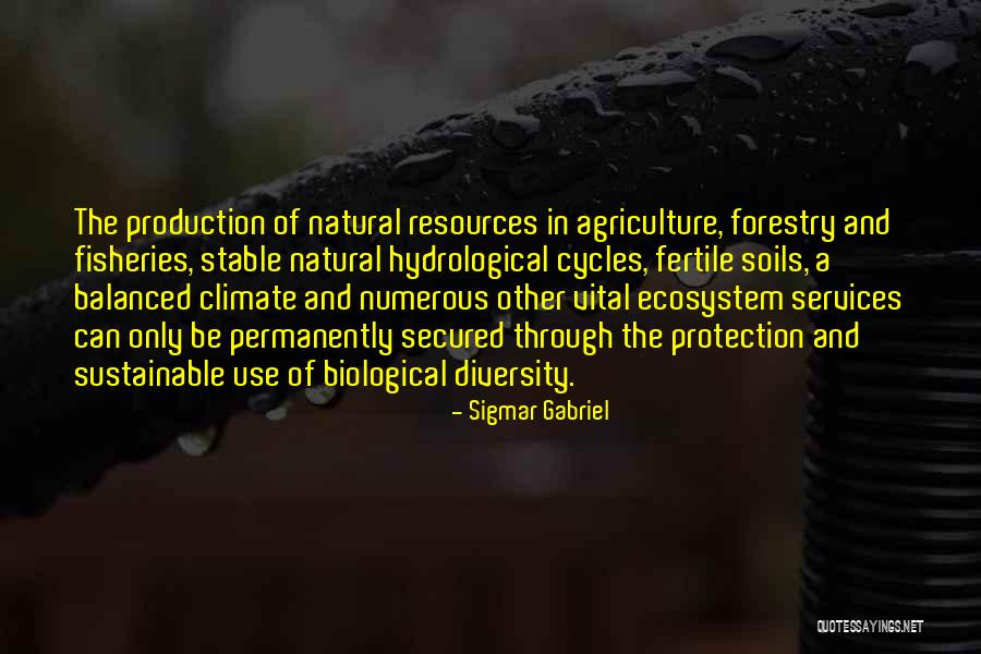 Use Of Natural Resources Quotes By Sigmar Gabriel Use Of Natural Resources Quotes By Sigmar Gabriel