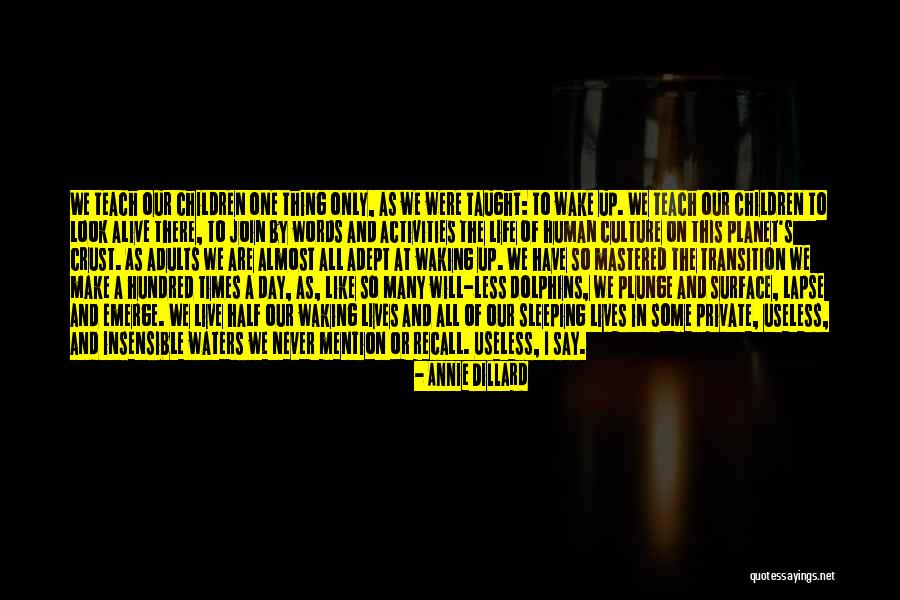 Use Of The Useless Quotes By Annie Dillard Use Of The Useless Quotes By Annie Dillard