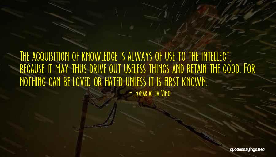 Use Of The Useless Quotes By Leonardo Da Vinci Use Of The Useless Quotes By Leonardo Da Vinci