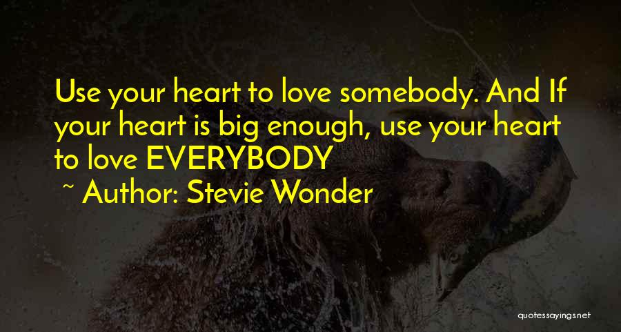 Use Somebody Quotes By Stevie Wonder