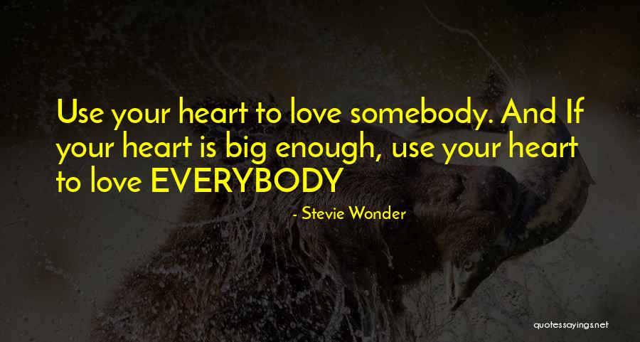 Use Somebody Quotes By Stevie Wonder