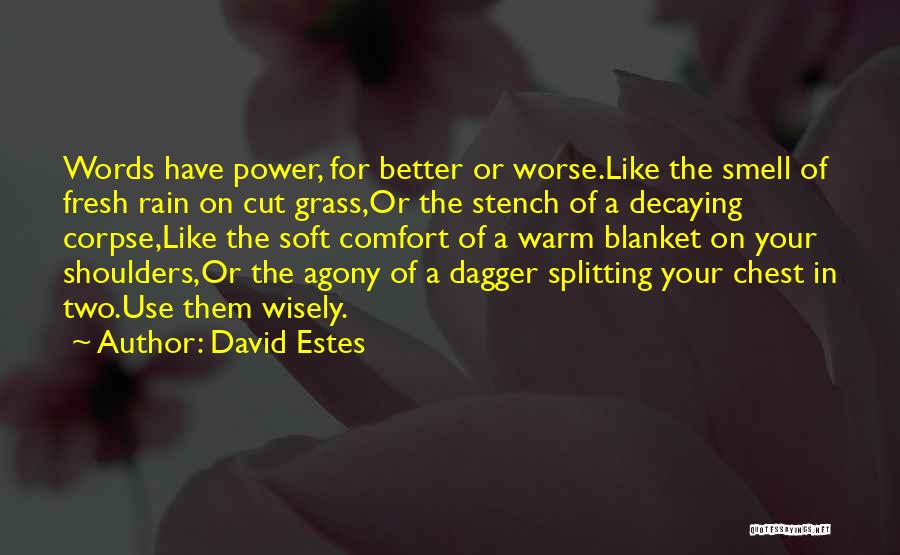 Use Them Wisely Quotes By David Estes