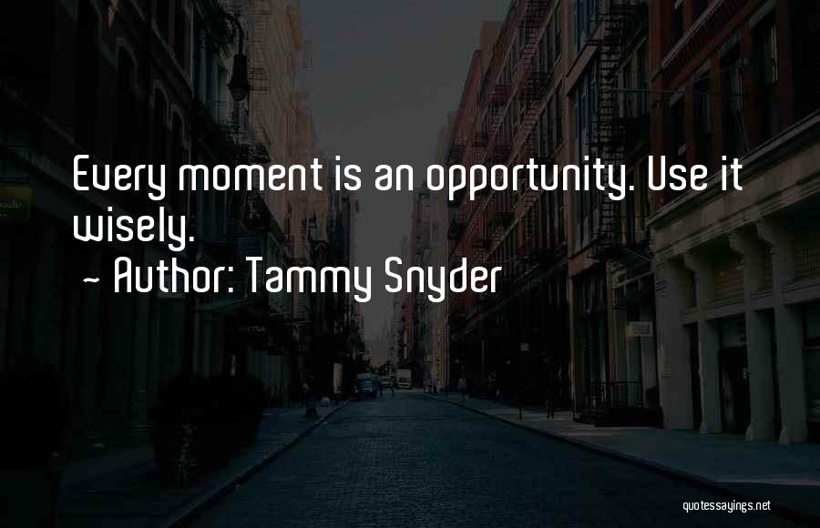 Use Them Wisely Quotes By Tammy Snyder