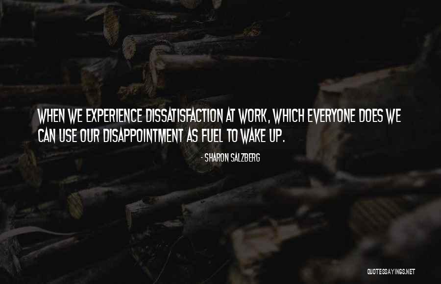 Use To Disappointment Quotes By Sharon Salzberg Use To Disappointment Quotes By Sharon Salzberg