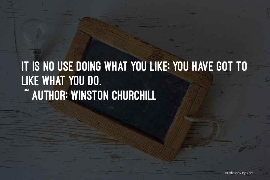 Use What You Got Quotes By Winston Churchill