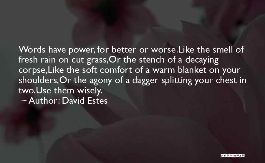 Use Wisely Quotes By David Estes