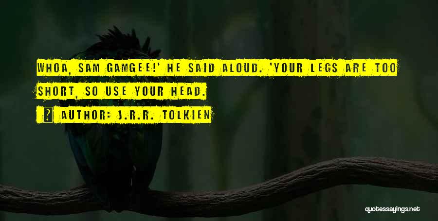 Use Your Head Quotes By J.R.R. Tolkien