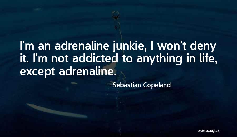 Useating Quotes By Sebastian Copeland Useating Quotes By Sebastian Copeland