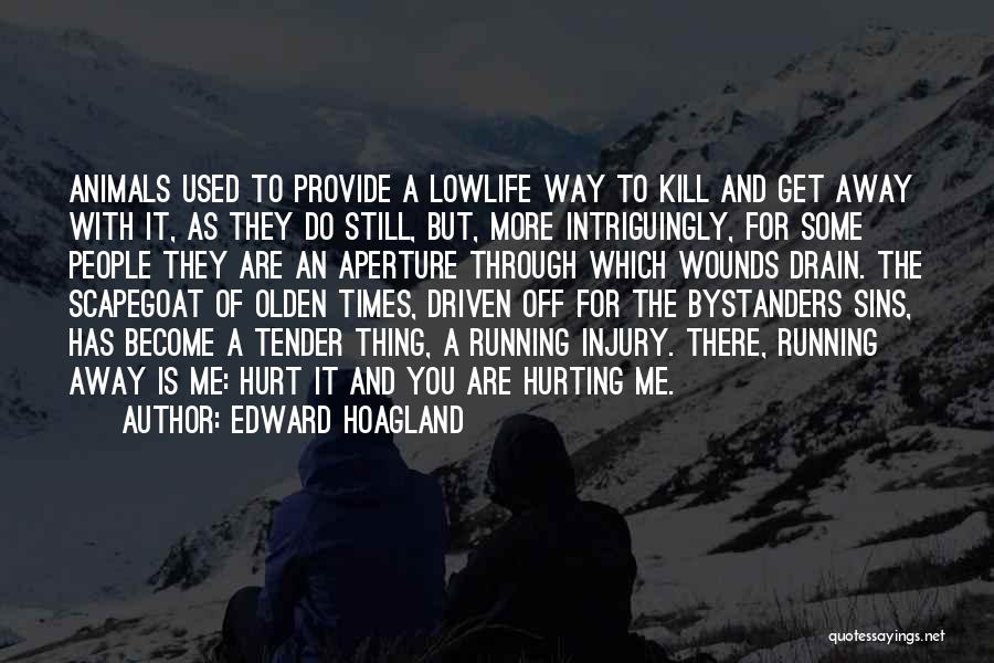 Used To Get Hurt Quotes By Edward Hoagland