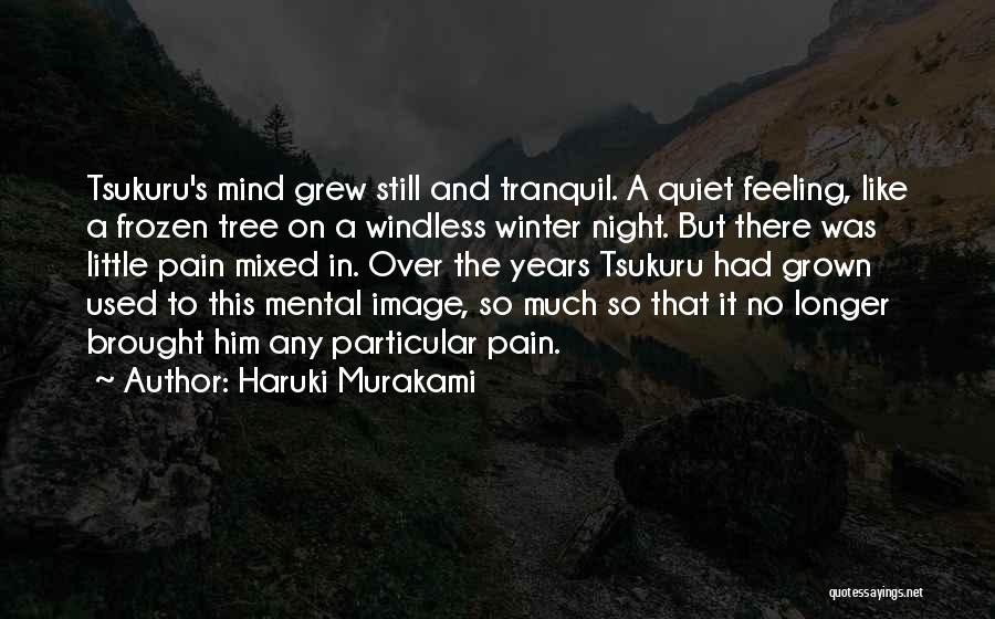 Used To Pain Quotes By Haruki Murakami