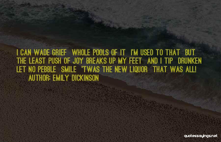 Used To Smile Quotes By Emily Dickinson