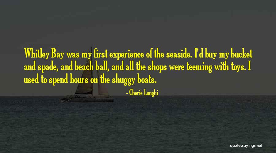 Used Toys Quotes By Cherie Lunghi Used Toys Quotes By Cherie Lunghi