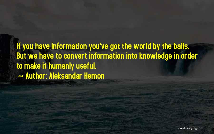 Useful Information Quotes By Aleksandar Hemon