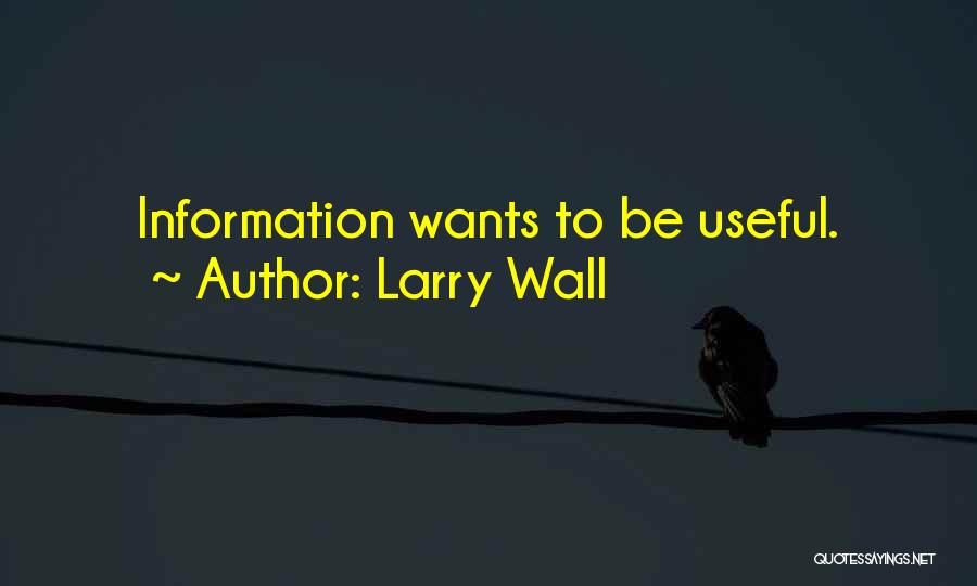 Useful Information Quotes By Larry Wall