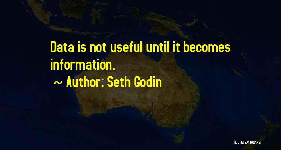 Useful Information Quotes By Seth Godin