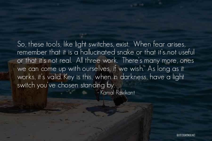 Useful Or Not Quotes By Kamal Ravikant Useful Or Not Quotes By Kamal Ravikant