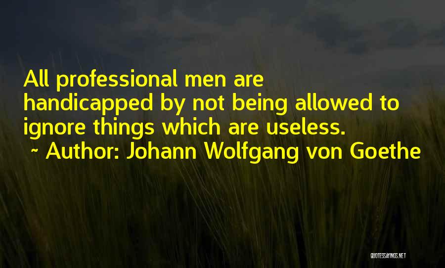 Useless Things Quotes By Johann Wolfgang Von Goethe