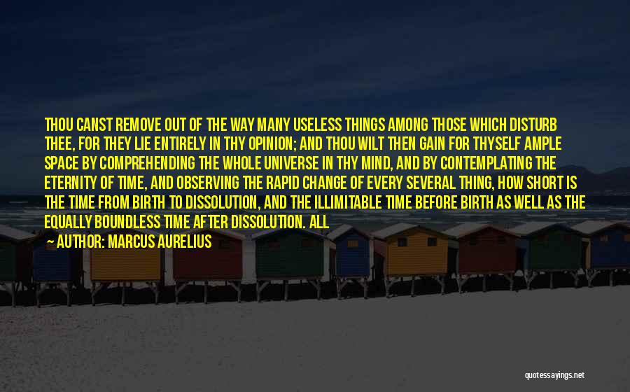 Useless Things Quotes By Marcus Aurelius