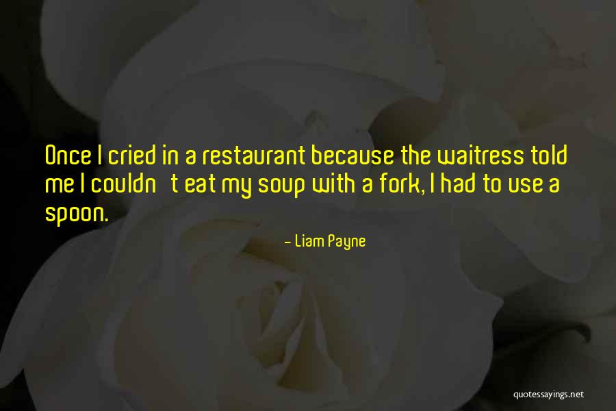 Usenet Browser Quotes By Liam Payne Usenet Browser Quotes By Liam Payne