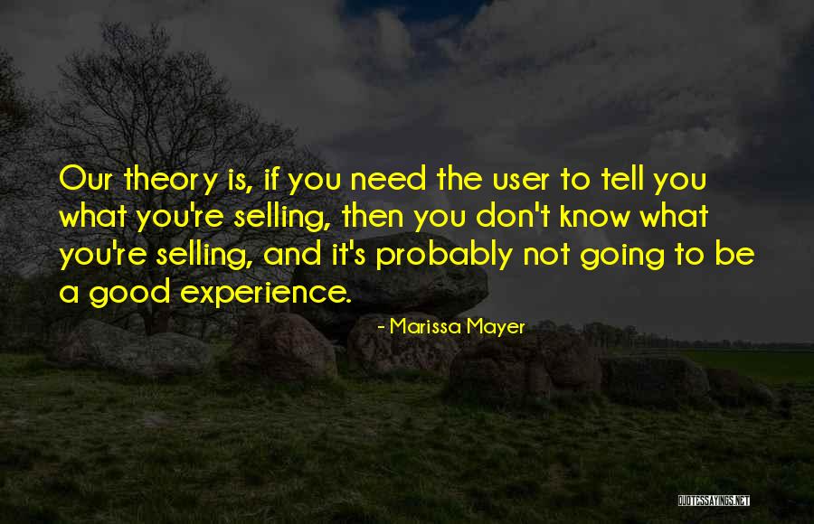 User Experience Quotes By Marissa Mayer