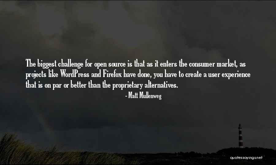 User Experience Quotes By Matt Mullenweg